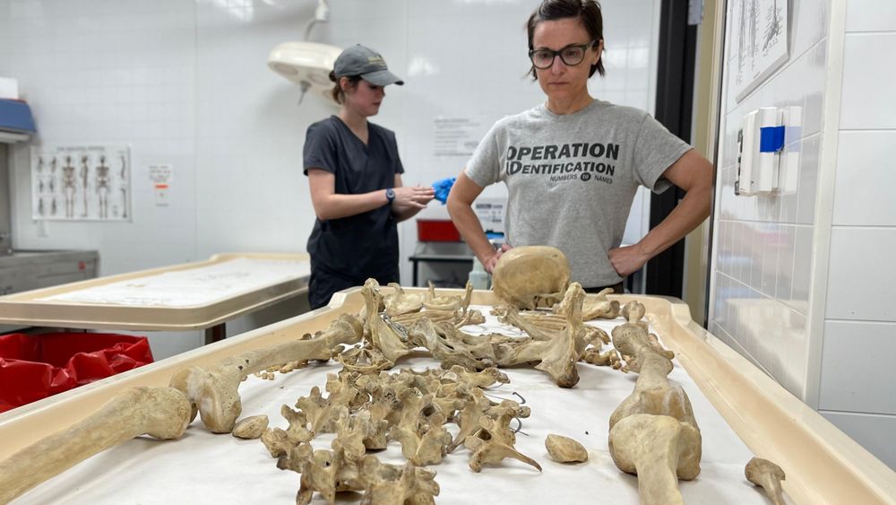 La antropóloga forense Kate Spradley en el laboratorio de Operation Identification en Freeman Ranch, San Marcos, Texas, el 24 de abril de 2024.