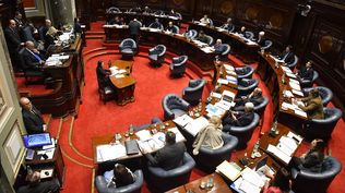 EN VIVO: Frente Amplio interpela a autoridades del Mides e Inau tras muerte de adolescente embarazada