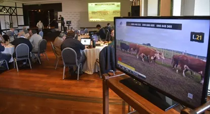 Lote 21 rematará nuevamente el 9 y 10 de noviembre.