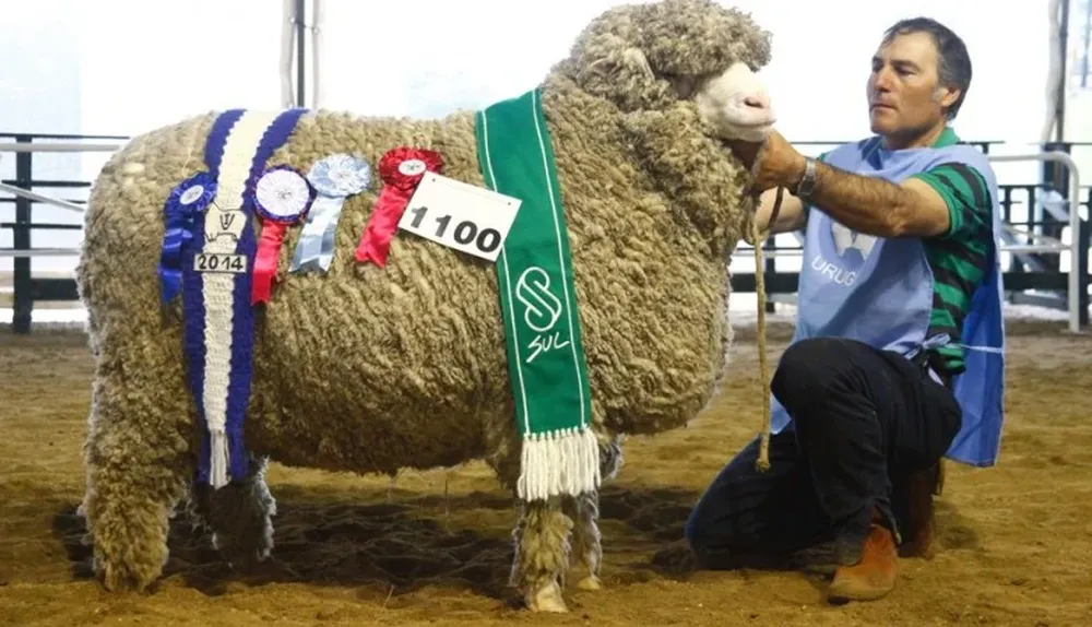 Gran Campeón PO en el Ideal de Ana Laserre e Hijos