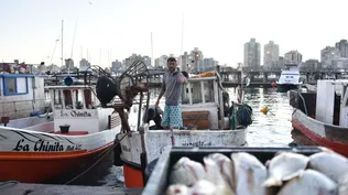 Afiliarse al sindicato: la condición para poder trabajar en la pesca