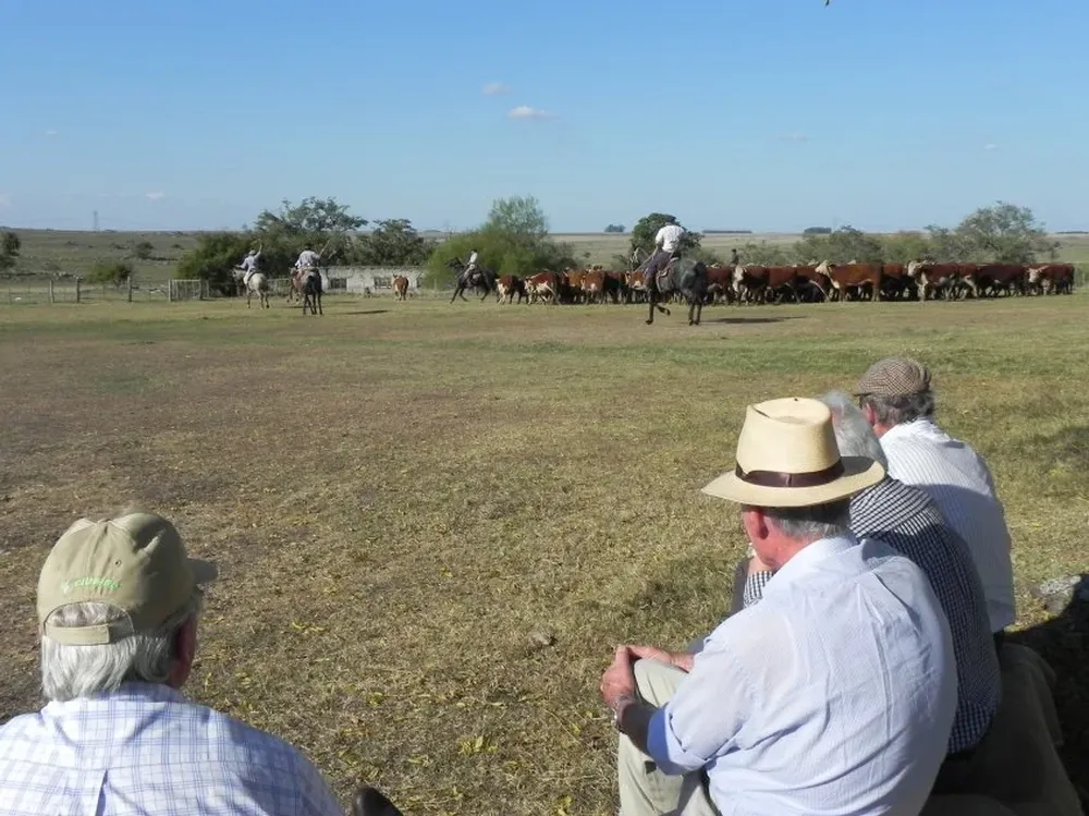 Los productores vinculados al Hereford y en general a la ganadería se preparan para otra Gira Técnica.