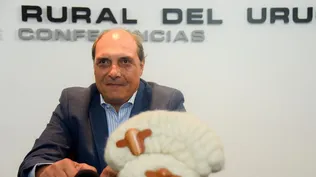 Sector ovino: mejoró el escenario, destacó Alfredo Fros, presidente del SUL.