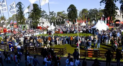 El Observador | 0012291632.webp