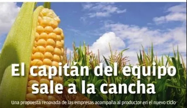 Cultivos de verano 2020