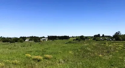 El exdiputado cumple la prisión domiciliaria en su campo