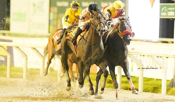 El negocio detrás del turf: el Gran Premio Ramírez movió más de $ 60 millones en apuestas