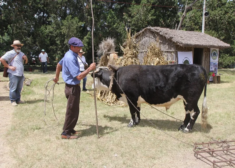Fiesta de la Chacra.