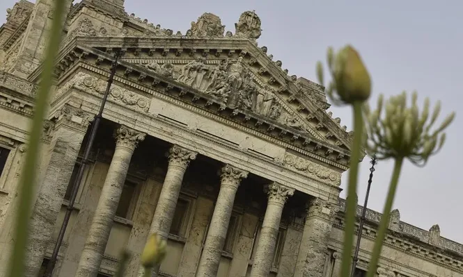 La ley de Rendición de Cuentas y la Constitución