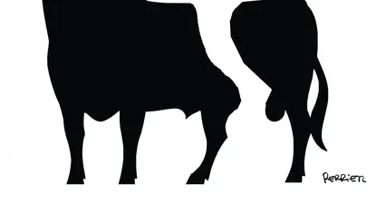 El Observador | 0020555402.webp