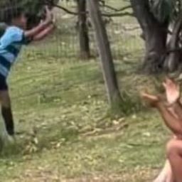 Leo Gargano celebra su gol ante el tejido
