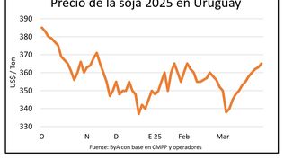 Uruguay: precio de la soja próximo a la cosecha.