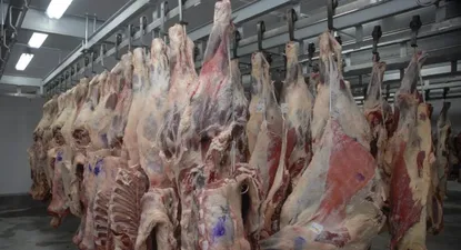 Siguen las diferencias conceptuales en negociaciones del Mercosur con la Unión Europea.