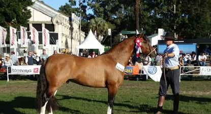 El Observador | 0007307314.webp