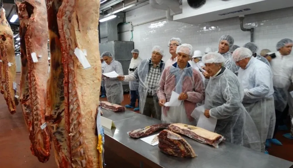 Los visitantes observaron en detalle las reses ganadoras