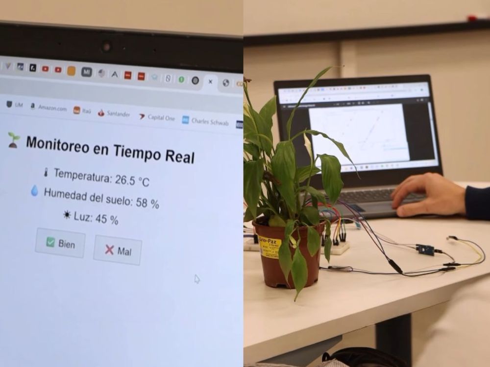 Diseño sin título (19)