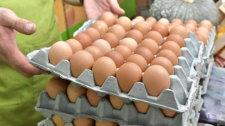 A pura proteína: por qué Argentina batió su récord histórico de consumo de huevos