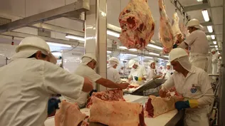 Los precios máximos de referencia son US$ 3,80 para los novillos, US$ 3,70 para las vaquillonas y US$ 3,60 para las vacas