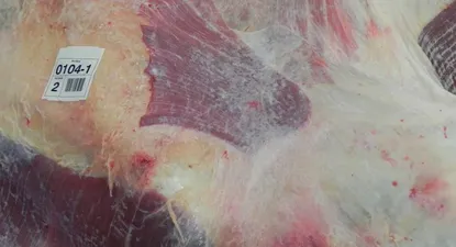 El Observador | 0024550924.webp