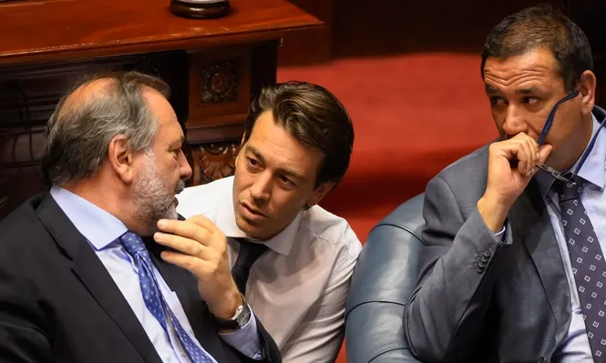 Sartori reclamó medidas y senadores blancos respondieron: “Esto no es Londres”