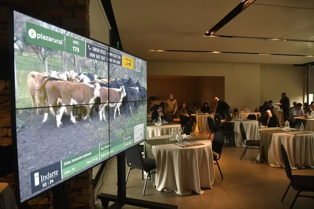 El remate se hará a partir de la hora 9 en los dos días de venta.