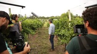 Otra cosecha retrata las distintas etapas de la vendimia 2021