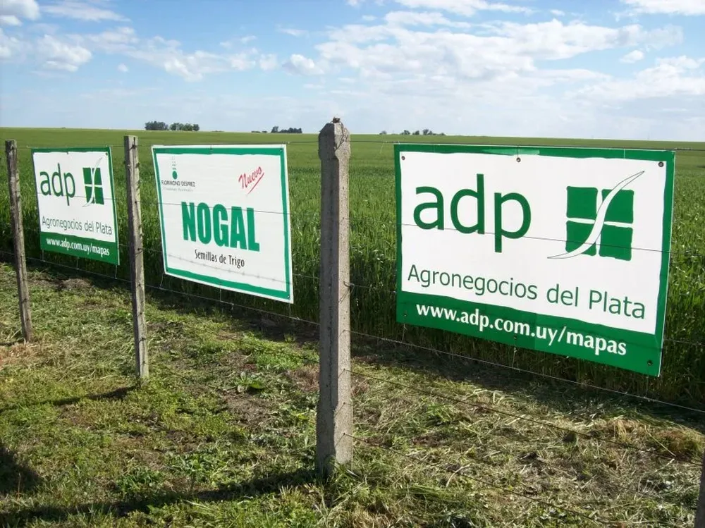 Agronegocios del Plata es una de las principales compañías agrícolas en la región.