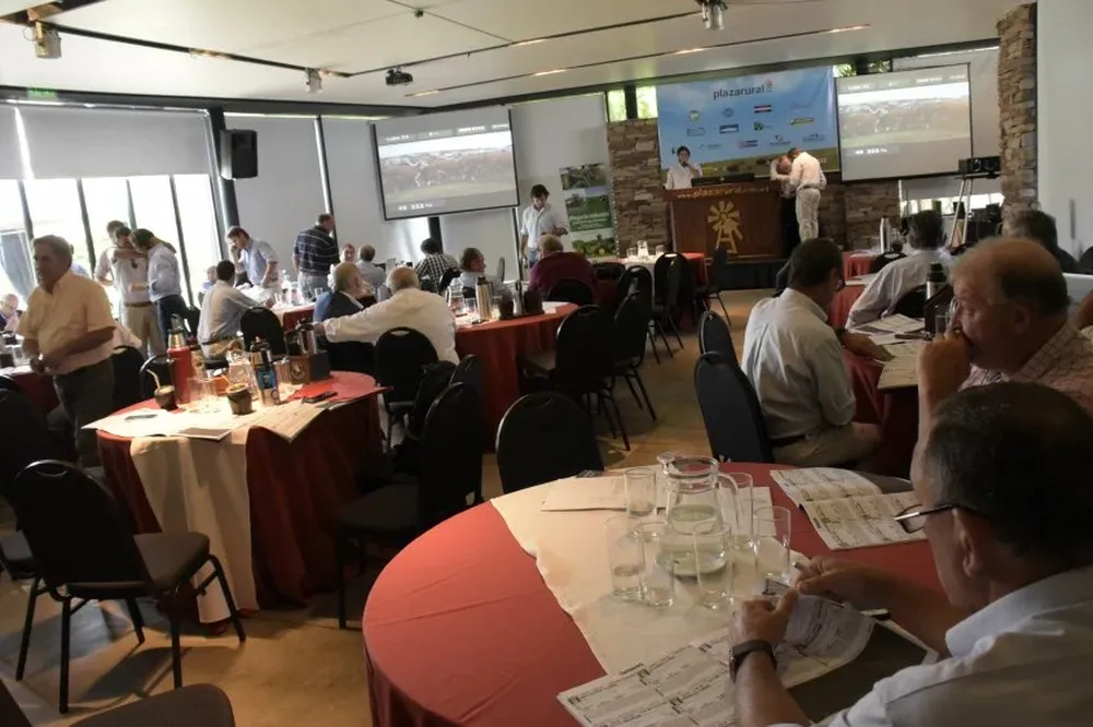 El remate se realiza en el hotel Cottage, con transmisión en vivo por televisión e internet