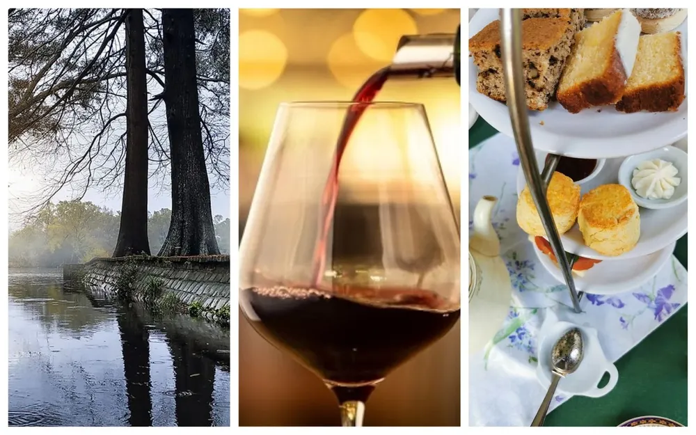 Vinos, paseos y sabores en esta edición de Picnic!