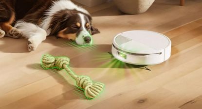 Qué pasará con las aspiradoras robot Roomba después de que iRobot se haya declarado en quiebra