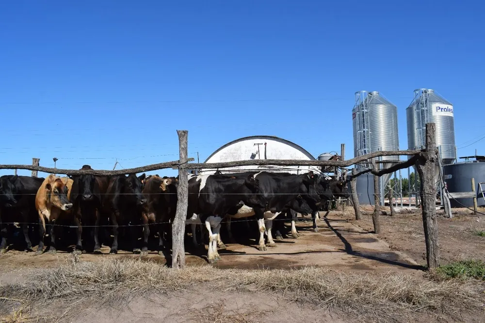 Producción de leche en Canelones.