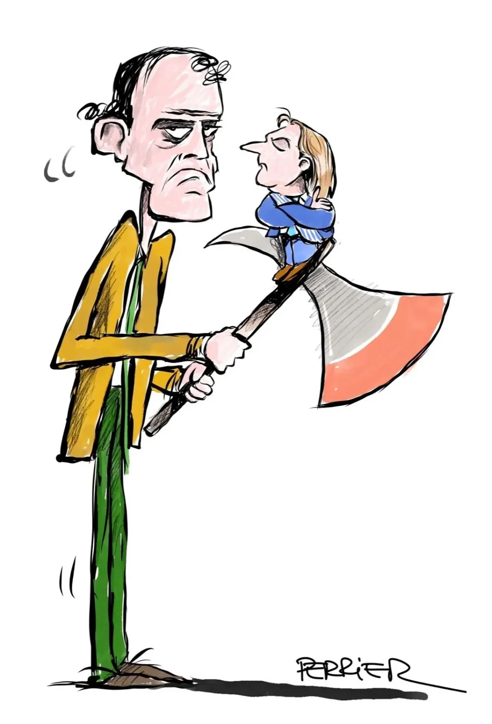 Veto a la ley forestal