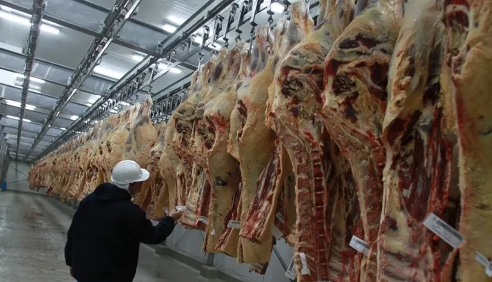 China cada vez compra más carne vacuna a Uruguay