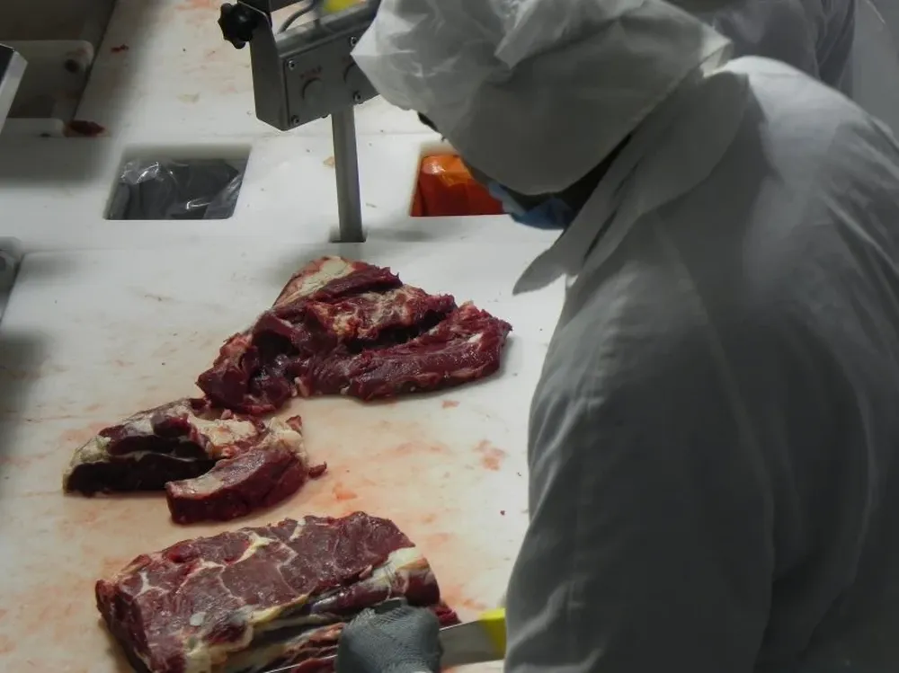 La faena apenas superó las 30 mil reses en la última semana.