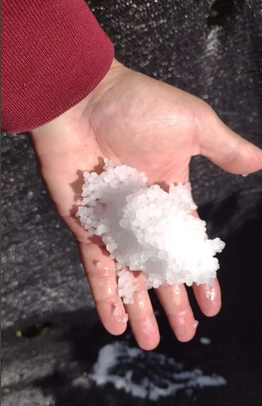 Imagen compartida por el usuario @MatiMederosURU en Twitter