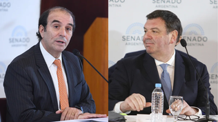Lijo y García-Mansilla enfrentan un escenario adverso en el Senado.