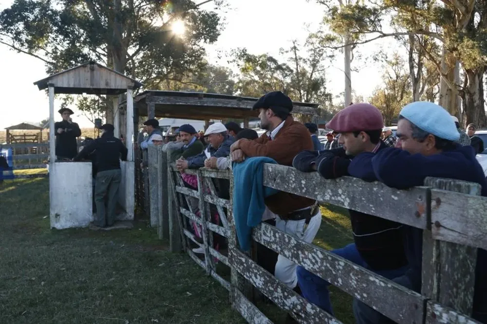 Hubo buen marco de público en la feria ganadera de Amarillo, en Rivera
