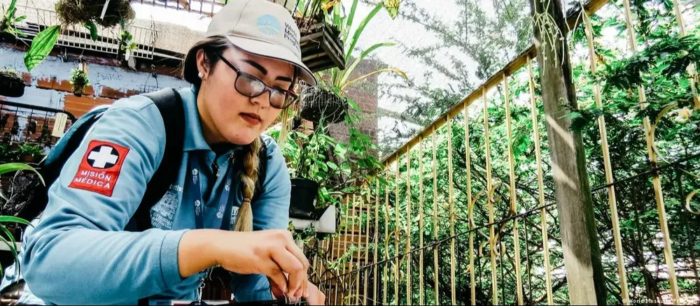 Una científica colombiana libera mosquitos manipulados con la bacteria Wolbachia.