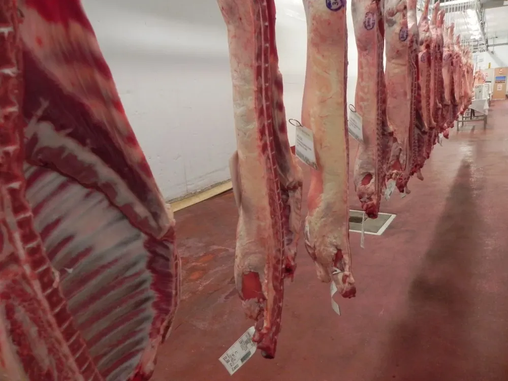 Se exporta carne bovina y ovina.