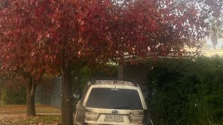 Incendiaron con bombas molotov la camioneta de un empresario en el barrio Carrasco