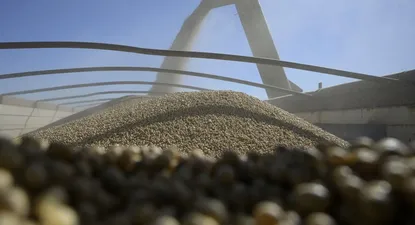 Cosecha de soja.&nbsp;