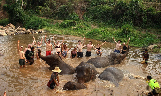 Bañarse con elefantes, la peligrosa actividad turística tailandesa que es criticada por animalistas