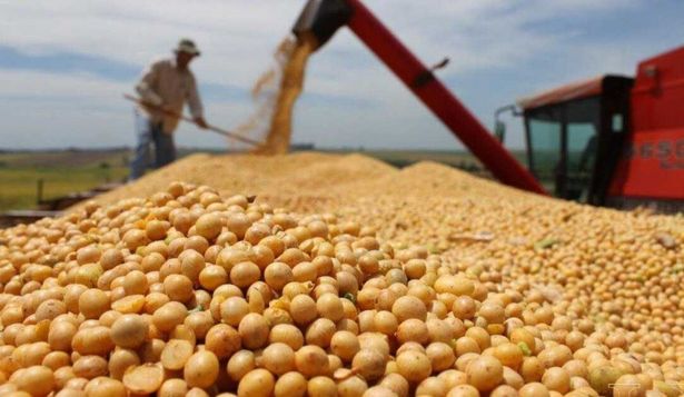 Retenciones cero: las claves para entender la medida de Javier Milei y las críticas del arco opositor