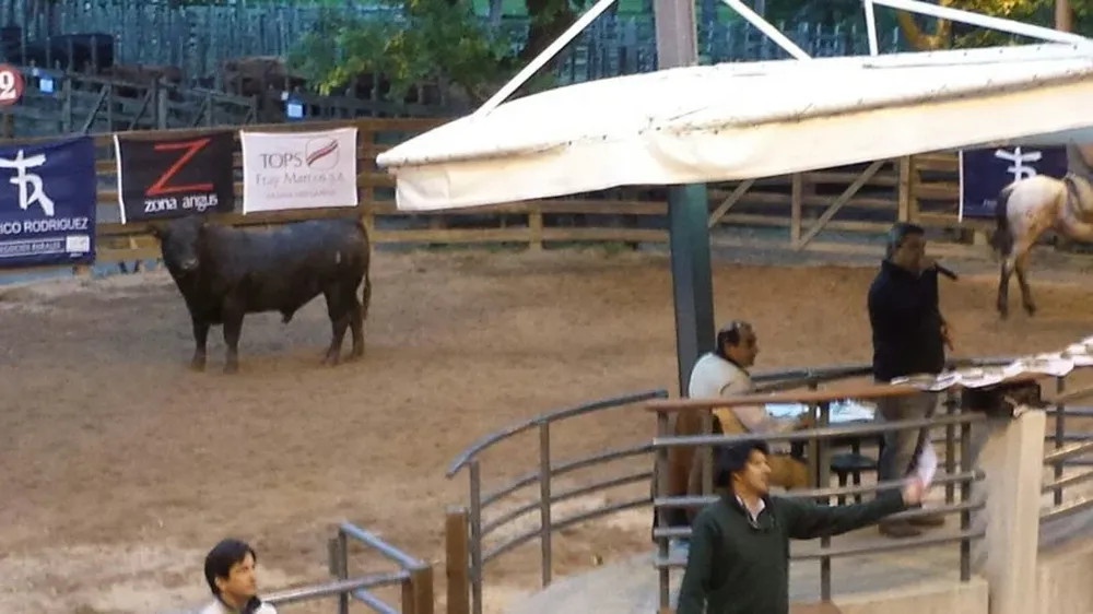 Remató Federico Rodríguez dos Santos