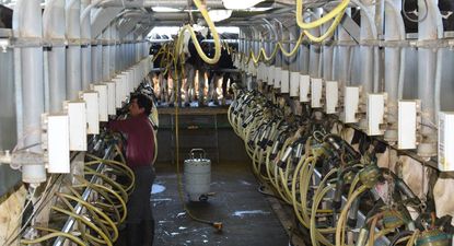 Inale informó sobre un nuevo mes con datos de producción y remisión al alza.