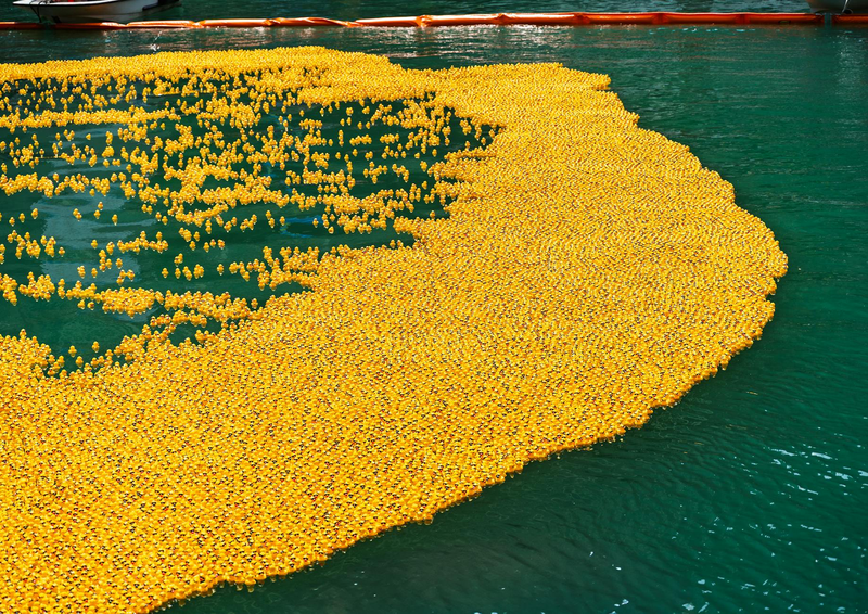 Carrera solidaria en Zaragoza: más de 20.000 patitos navegan el río Ebro a favor de la ciencia