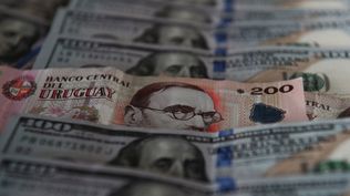 Clearing de informes: nueva oportunidad para consultar gratis si estás incluido