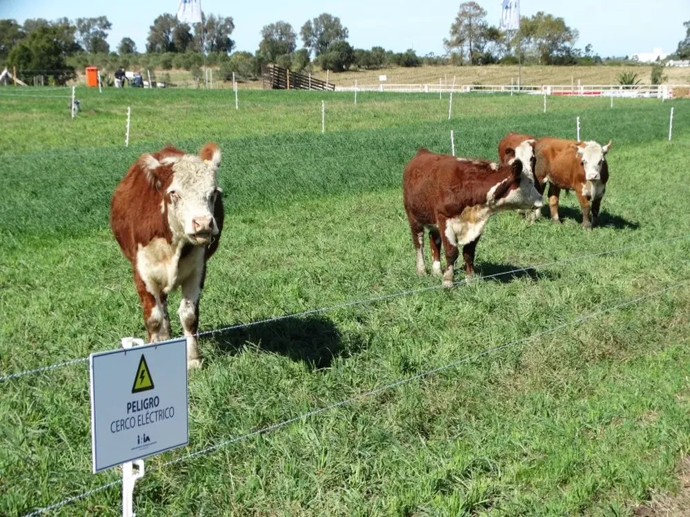 Se viene una nueva edición de la exposición que ARU realiza en el área rural de Montevideo.