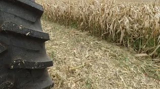 Campos de uso agrícola, en Soriano.