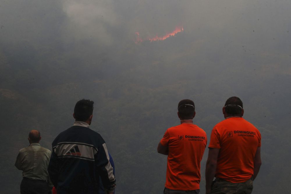 ed4e33f11ea79cd48a84d33cad700a30c24a0ae7w